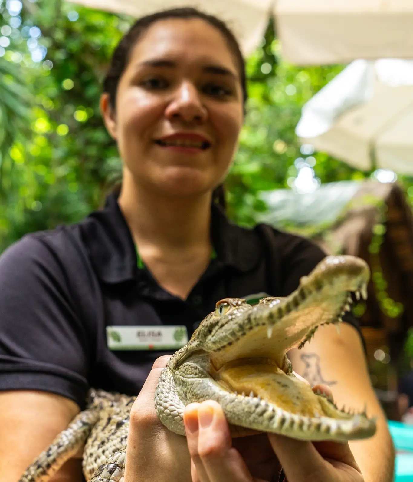 Guided interaction with rescued wildlife