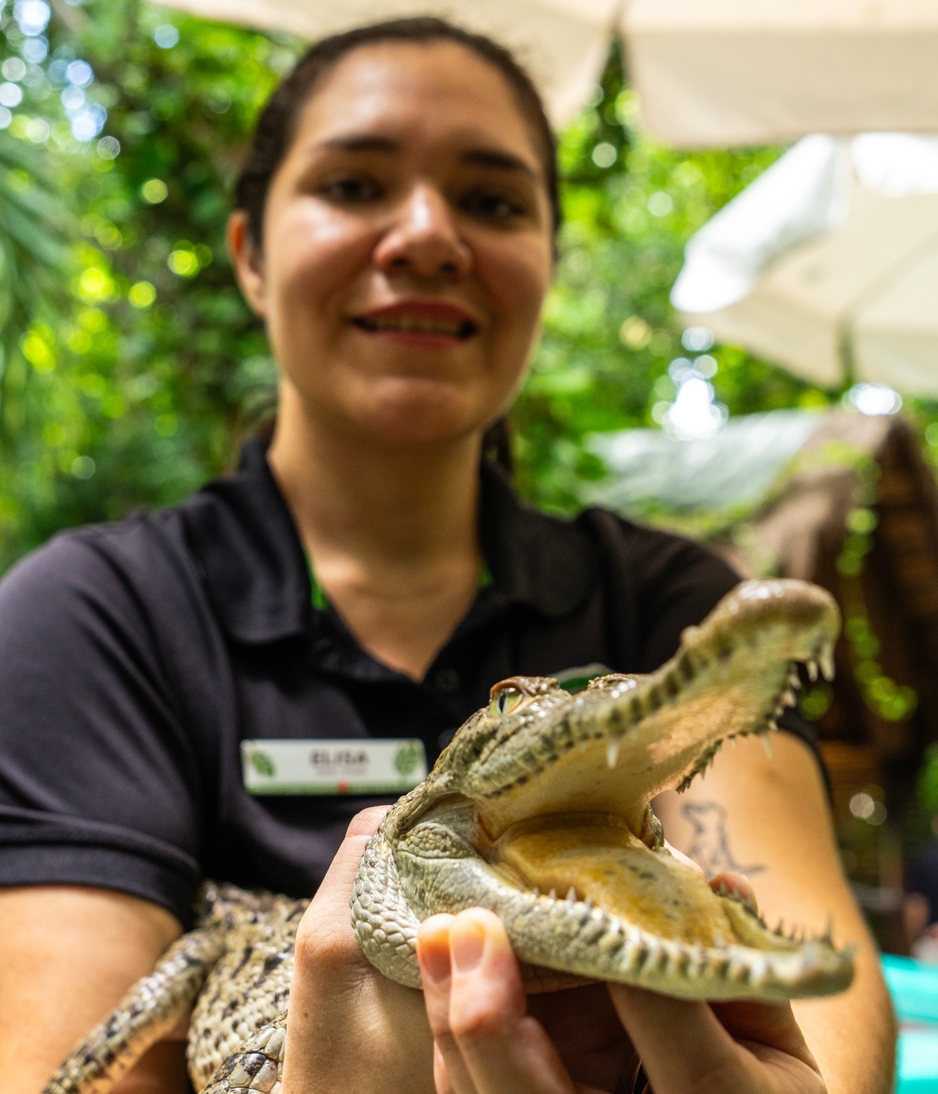 Guided interaction with rescued wildlife